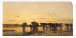 African Elephants, 1867 by Charles Emile de Tournemine