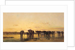 African Elephants, 1867 by Charles Emile de Tournemine