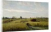 The Harvest, 1851 by Charles Francois Daubigny