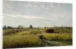 The Harvest, 1851 by Charles Francois Daubigny