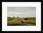 The Harvest, 1851 by Charles Francois Daubigny