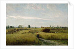 The Harvest, 1851 by Charles Francois Daubigny