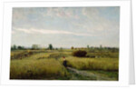 The Harvest, 1851 by Charles Francois Daubigny
