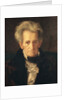 Portrait of Andrew Jackson by George Peter Alexander Healy