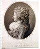 Marie Therese Louise de Savoie-Carignan Princess of Lamballe, 1791 by Henri-Pierre Danloux