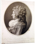 Marie Therese Louise de Savoie-Carignan Princess of Lamballe, 1791 by Henri-Pierre Danloux