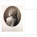 Marie Therese Louise de Savoie-Carignan Princess of Lamballe, 1791 by Henri-Pierre Danloux