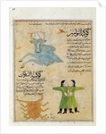 Ms E-7 fol.23a The Constellations of the Bull, the Twins and the Crab by Islamic School