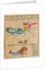 Ms E-7 fol.29b The Constellations of Sagittarius and Capricorn by Islamic School