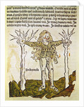 The Constellation of Andromeda, an illustration from the 'Poeticon Astronomicon' by C.J. Hyginus, Venice, 1485 by Italian School