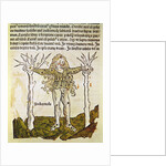 The Constellation of Andromeda, an illustration from the 'Poeticon Astronomicon' by C.J. Hyginus, Venice, 1485 by Italian School