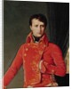 Bonaparte as First Consul, 1804 by Jean Auguste Dominique Ingres