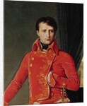 Bonaparte as First Consul, 1804 by Jean Auguste Dominique Ingres