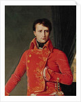 Bonaparte as First Consul, 1804 by Jean Auguste Dominique Ingres