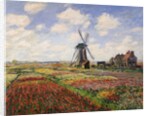 Tulip Fields with the Rijnsburg Windmill by Claude Monet