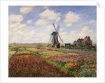 Tulip Fields with the Rijnsburg Windmill by Claude Monet