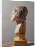 Left profile of the head of a Princess from the family of Akhenaten, New Kingdom by Egyptian 18th Dynasty