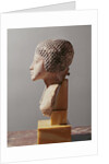 Left profile of the head of a Princess from the family of Akhenaten, New Kingdom by Egyptian 18th Dynasty
