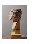 Left profile of the head of a Princess from the family of Akhenaten, New Kingdom by Egyptian 18th Dynasty