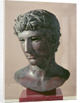 The 'Benevento' Head, c.50 BC by Roman Roman