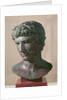 The 'Benevento' Head, c.50 BC by Roman Roman