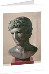 The 'Benevento' Head, c.50 BC by Roman Roman