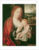 Virgin and sleeping Child by Joos van Cleve