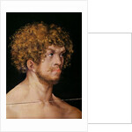 Adam and Eve, detail of Adam's head by Lucas the Elder Cranach