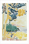 Pardigon by Henri-Edmond Cross