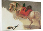 Horse of Mustapha-Pacha by Baron Antoine Jean Gros