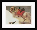 Horse of Mustapha-Pacha by Baron Antoine Jean Gros