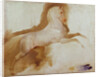Horse of Joachim Murat, c. 1832 by Baron Antoine Jean Gros