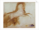 Horse of Joachim Murat, c. 1832 by Baron Antoine Jean Gros