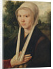 Portrait of a young woman, c.1530 by Dirk Jacobsz