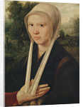 Portrait of a young woman, c.1530 by Dirk Jacobsz