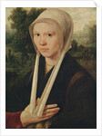 Portrait of a young woman, c.1530 by Dirk Jacobsz