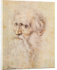 Portrait of a bearded old man by Albrecht Dürer or Duerer