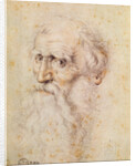 Portrait of a bearded old man by Albrecht Dürer or Duerer
