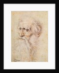 Portrait of a bearded old man by Albrecht Dürer or Duerer