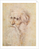 Portrait of a bearded old man by Albrecht Dürer or Duerer