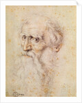 Portrait of a bearded old man by Albrecht Dürer or Duerer