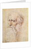 Portrait of a bearded old man by Albrecht Dürer or Duerer