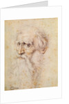 Portrait of a bearded old man by Albrecht Dürer or Duerer
