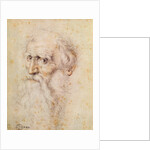 Portrait of a bearded old man by Albrecht Dürer or Duerer