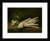 Cardoon and Cabbage by Spanish School