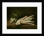 Cardoon and Cabbage by Spanish School