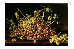 Still Life with a plate of grapes by Luis Egidio Menendez or Melendez