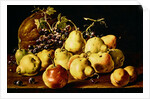 Still Life with quinces, peaches, grapes and pumpkin by Luis Egidio Menendez or Melendez
