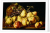 Still Life with quinces, peaches, grapes and pumpkin by Luis Egidio Menendez or Melendez