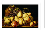Still Life with quinces, peaches, grapes and pumpkin by Luis Egidio Menendez or Melendez